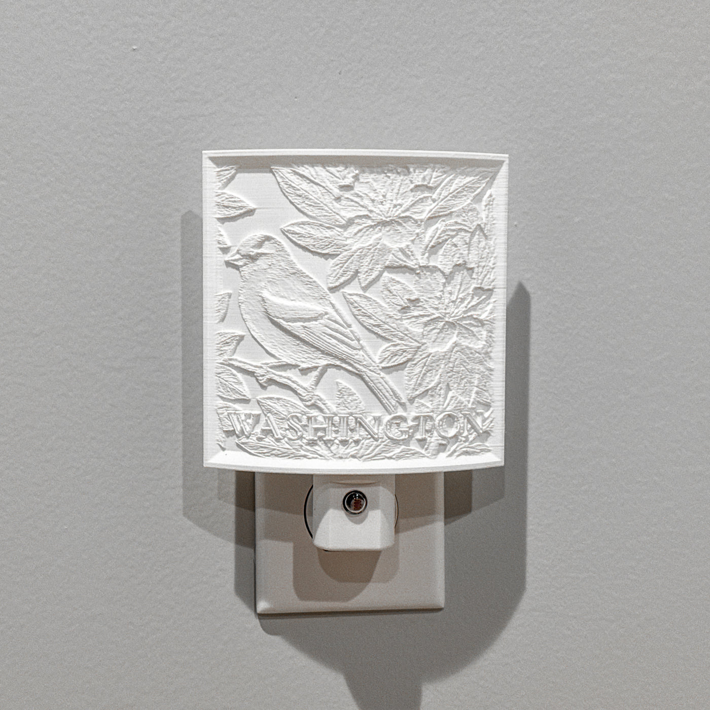 Washington State Bird & Flower Nightlight