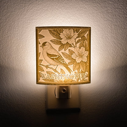 Washington - Nightlight On